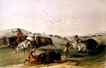 Catlin, La chasse aux bisons par les Indiens d'Amérique du nord