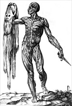 Anatomy by Valverde. An écorché holding his skin