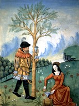 Matearius, un homme une femme recueillent une sève curative