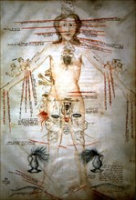 Compendium of medical texts. Man with zodiac signs corresponding to each part of his body