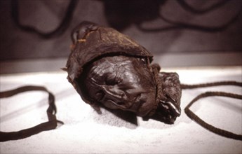 L'homme de Tollund, 2000 ans, découvert en 1950, dans une tourbière