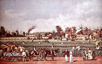 Lithographie de Currier and Ives. Une plantation de coton sur le Mississippi