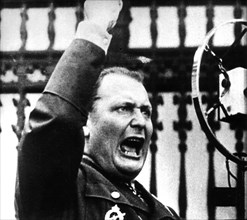 Portrait of Goering during a speech