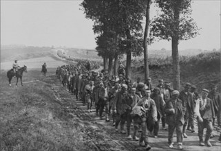 Aubigny, 7th September 1916, long line of 1500 German prisoners