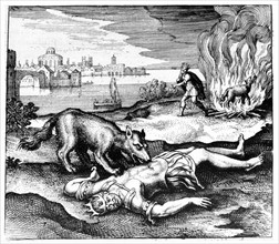 Maier, The wolf ate the King then, once burnt, the King came back to life