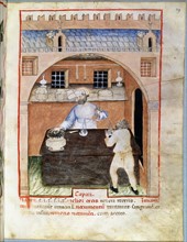 Ibn Butlan, A seller of capers