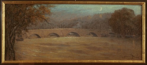 Prins, La Seine en crue au Pont Royal