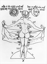 Schéma astrologique : Vénus