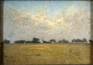 Prins, A field