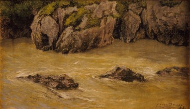 Prins, Rocks in a stream