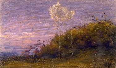 Prins, Tree with silver leaves