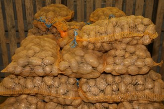 Bags of potatoes