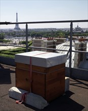 Beehive on the roof of Hotel Westin in Paris
