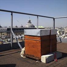 Beehive on the roof the Hotel Westin in Paris