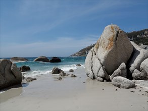 Capetown, Clifton Bay Beach