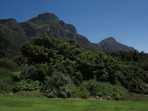 Capetown, Kirstenbosch National Botanical Garden