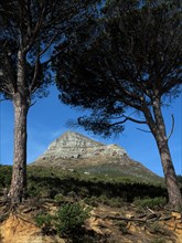 Capetown, Lion's Head