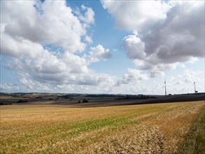 Fields near Villemoison