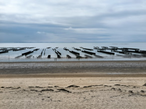 Parcs à huîtres et bouchots à moules en Normandie