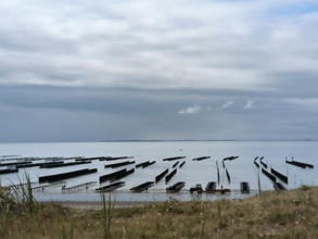 Parcs à huîtres et bouchots à moules en Normandie