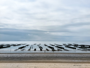 Parcs à huîtres et bouchots à moules en Normandie