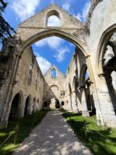L'abbaye de Jumièges