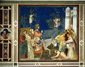 Giotto, L'entrée du Christ à Jérusalem