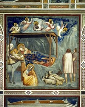 Giotto, La Nativité