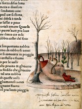 Petrarca, Canzoniere e Trionfi Manuscript
