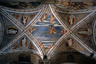 Voûte de la loggia du château du Buonconsiglio à Trente (Italie)