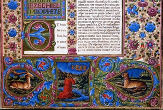 Bible de Borso d'Este, Incipit du Livre d'Ezechiel (détail)