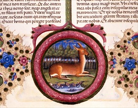 Bible de Borso d'Este, Biche dans un bois