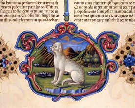 Bible of Borso d'Este, Dog in a landscape