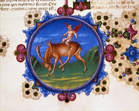 Bible de Borso d'Este, Putto à cheval sur son cerf