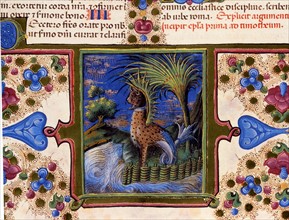Bible de Borso d'Este, Animal fantastique dans un paysage