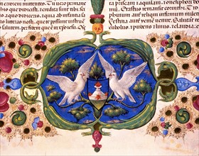 Bible de Borso d'Este, Couple de colombes