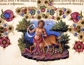 Bible de Borso d'Este, The figure of a centaur