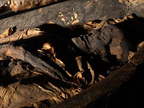 Détail d'une momie enveloppée dans bandages en lin, remontant au Troisième période intermédiaire