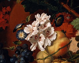 Van Huysum, Composition de fleurs et fruits (détail)