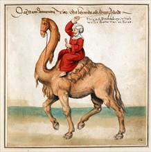 Caravanner on a camel