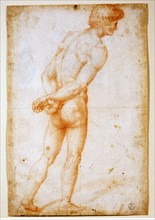 Clemente Bandinelli, Study of male nude, seen from behind