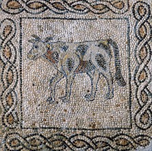 Mosaic: the bringee cow