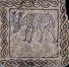 Mosaic: the deer