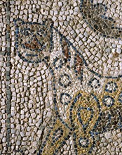 Mosaic: The spotted plume (detail)