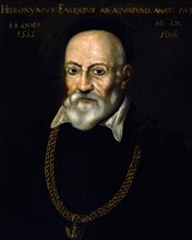 Portrait of Girolamo Fabrici d'Acquapendente