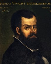 Portrait of Andrea Vesalio