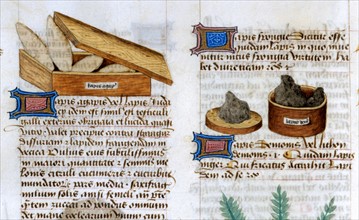 "Tractatus De Herbis", Utilisation et propriétés des minéraux en pharmacie (Lapis Demonis)