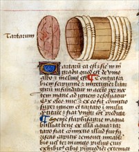 "Tractatus De Herbis", Les propriétés curatives du distillat et décoction du "Tartarum Purificatum"