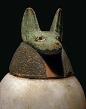Vase canope avec la tête du génie Douamoutef, protecteur de l'estomac