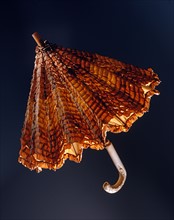 Parasol with fabric applications